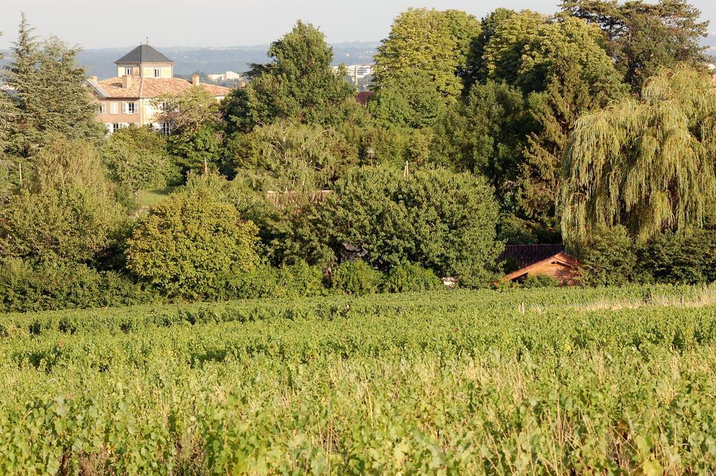 Le Montellier Bed and Breakfast Blacé Esterno foto