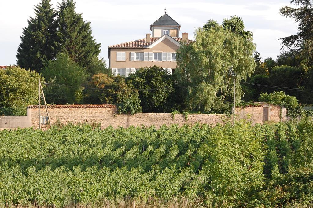 Le Montellier Bed and Breakfast Blacé Esterno foto